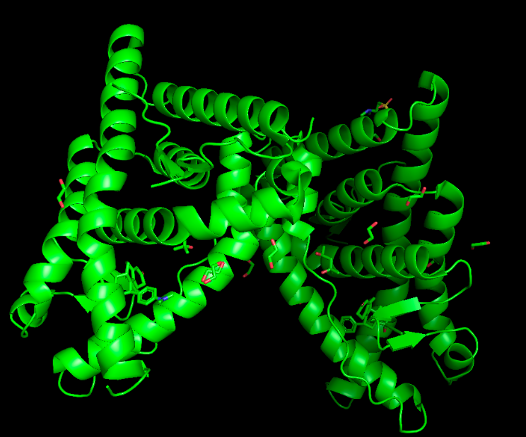 Glucocorticoid Receptor Alpha Molecular Structure